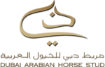 Logo-Dubai-Trans-Gold copy