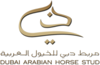 Logo-Dubai-Trans-Gold copy