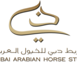 Logo-Dubai-Trans-Gold copy